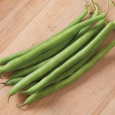 Cosmos Beans