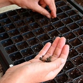 Seed Starting Supplies