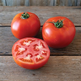 Unity Organic (F1) Tomato Seed